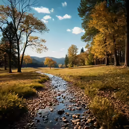 water running through a grassy field with trees in the background