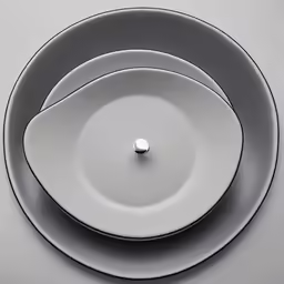 two black and white plates on top of each other