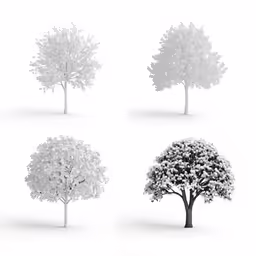 four different types of trees in four different styles