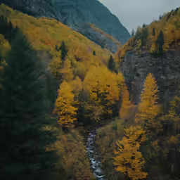 autumn foliage and waterfall in a beautiful forest