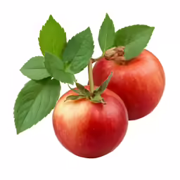 two red apples sitting on top of each other