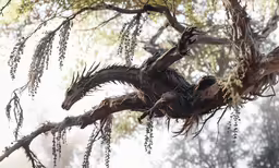 an ornate bird sits in the branches of a tree