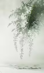 a person on a boat under a tree
