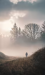 a person walking on the side of a hill in fog