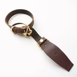 a brown strap with brass buckles on it