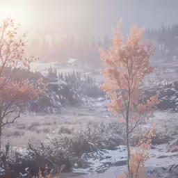 trees are covered in snow, and the ground has been snow - covered