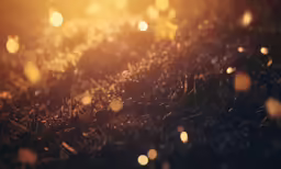 bright light shines on the ground in the dark