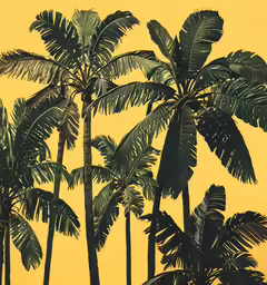 a couple of palm trees that are next to each other