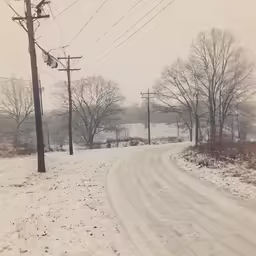 a snowy day in the country with telephone lines and trees