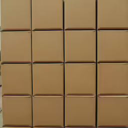 several rows of empty brown boxes lined up