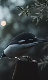 a little bird is sitting on a post