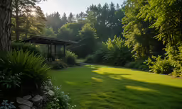 an outdoor space is shaded by lush grass and trees
