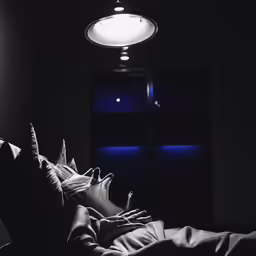 a bedroom scene with one person lying in bed, the other on the floor