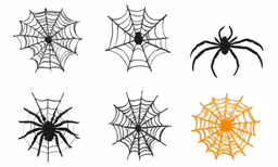 spider web and web designs in various shapes