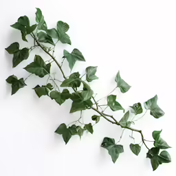 leaves and vines are arranged on a wall