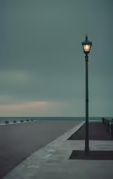 a lamp post sitting on the side of a sidewalk next to an ocean