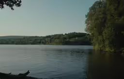 a body of water surrounded by forest in the sunlight