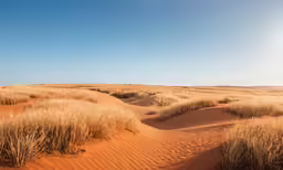 a desert landscape with sparse grass on the ground