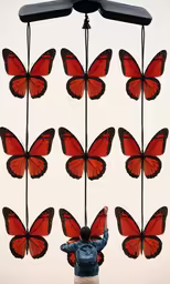 a man stands in front of a bunch of red butterflies