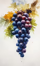 an image of grapes in a painting with leaves on them