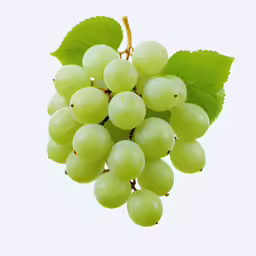 grapes on the branch with leaves on white background