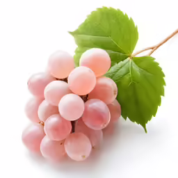 a bunch of red grapes on a branch with green leaves