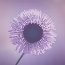 a big white flower with purple stems on top of it