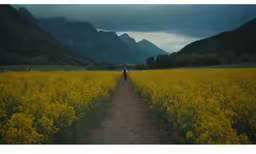 a person standing on a field of yellow flowers