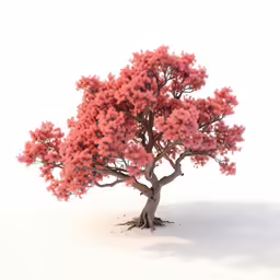 a red flower tree that is in the snow