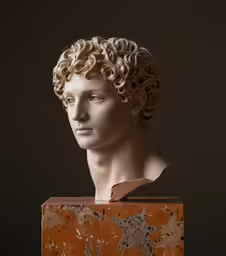 a photograph of an old fashion hair bust