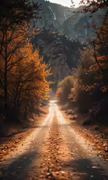an empty road surrounded by tall trees and mountains