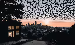 a flock of birds flying near a building