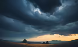 a field with some trees in it under a cloudy sky
