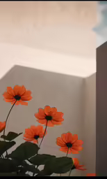 orange flowers with some foliage around them