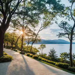 the sun sets behind trees on a street overlooking a lake