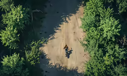 an overhead shot of a person walking through the forest