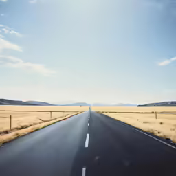a highway with yellow grass and a fence