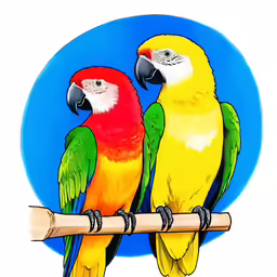 two brightly colored parrots sit on a perch