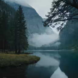 trees, grass and mountain view with water