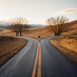two empty winding roads surrounded by trees and grass