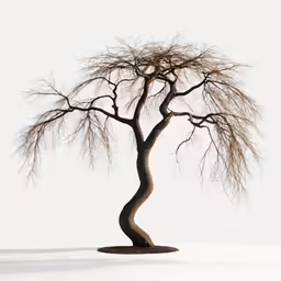 a very tall, tree on the snow