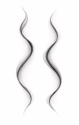 two grey spirals on a white background