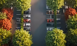 there are two rows of shelves in front of green plants