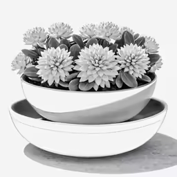 two bowls with succulents are stacked in front of each other