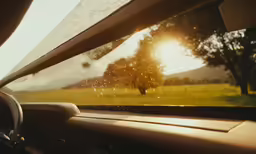 trees in the distance on the dashboard of a car