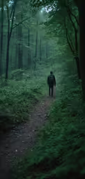 a man with backpack walking on a trail through woods