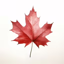 a large red leaf is in the air