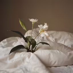 a vase sitting on a white bed next to a plant