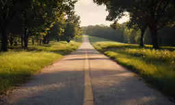 a wide path lined with trees leads to the light