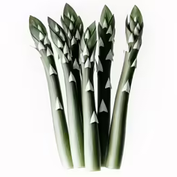 a close up of many green plant leaves